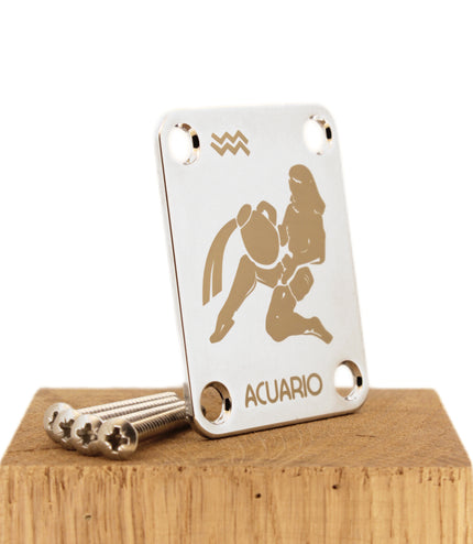 Custom Guitar Neck Plate - A Unique Canvas of Expression - Fender size