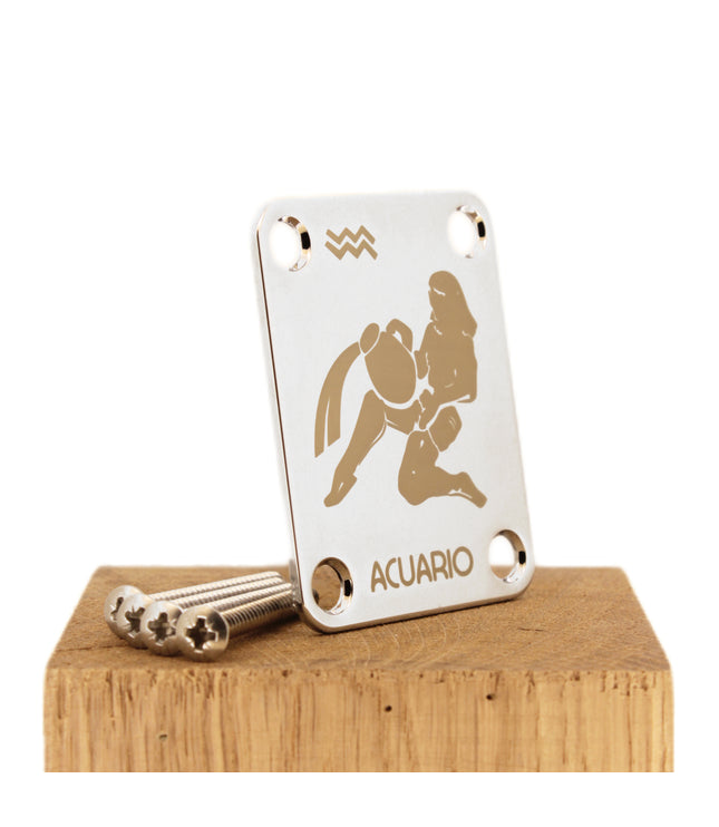 Custom Guitar Neck Plate - A Unique Canvas of Expression - Fender size