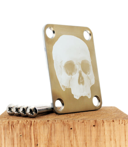 Neck Plate de guitare - Tête de mort - Taille Fender