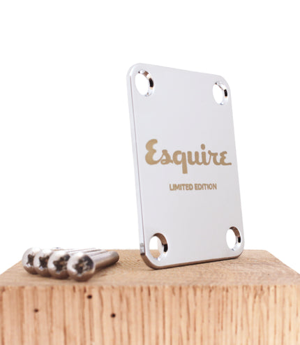 Custom Guitar Neck Plate - A Unique Canvas of Expression - Fender size