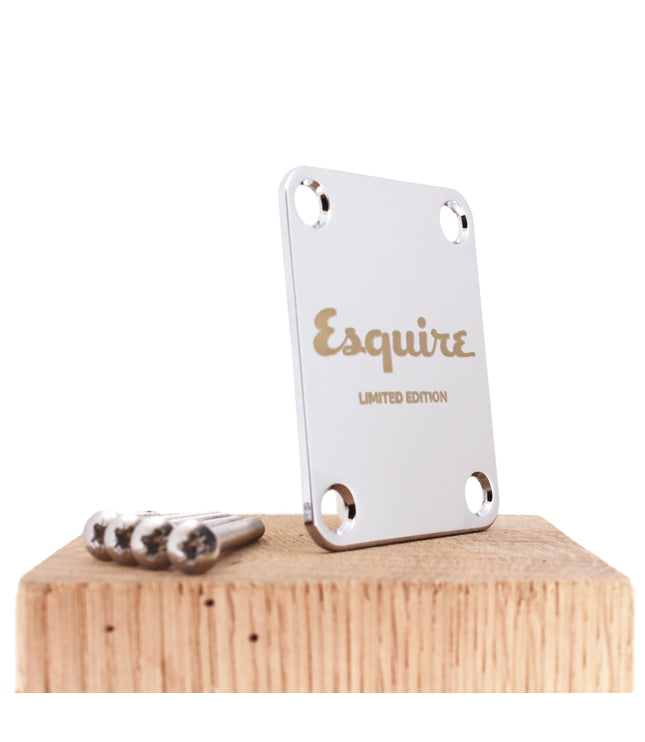 Custom Guitar Neck Plate - A Unique Canvas of Expression - Fender size